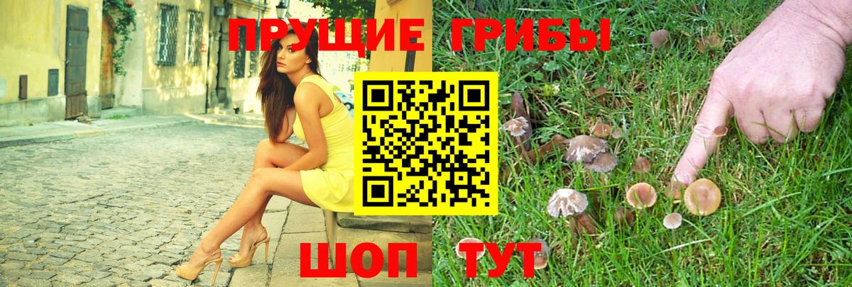 Галлюциногенные грибы прущие грибы Конаково